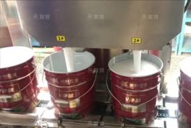 双头油漆灌装自动线